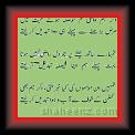 Saleem Quasir 01 * 22.03.2008 * 420 x 1433 * (77KB)